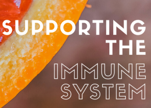 Supporting the immune system